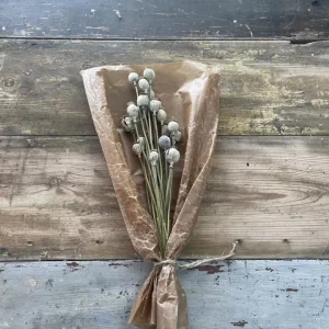 Vallmo Naturell 15-pack