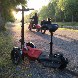 BF#007 Luqi T3 Unikt 3-Hjuligt Lutande Fordon