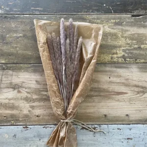 Pampasgräs 10-pack, Natur