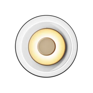 Blossi Wall vägglampa, nordic gold / clear • NUURA