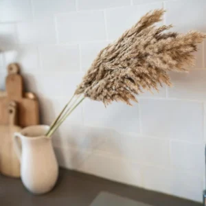 Vild Pampasgräs 5-pack, Natur