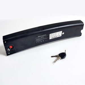 Reention Rapier 36V 10.5ah