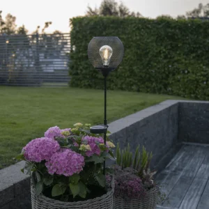 Solcellspinne Sunlight