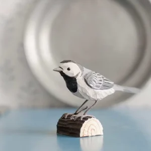 Dekorationsfågel, Sädesärla