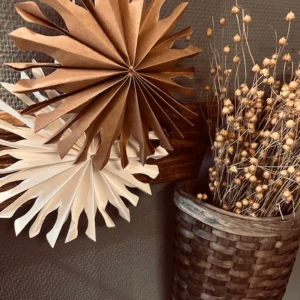 Pappstjärna Snow 10-20cm