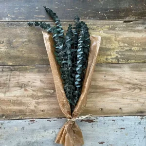 Eucalyptus 100gr, Grön