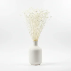 Nigella Orientalis 80gr, Vit