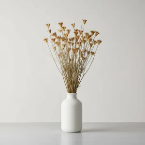 Nigella Orientalis 80gr, Natur