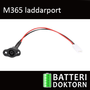 M365 Laddport