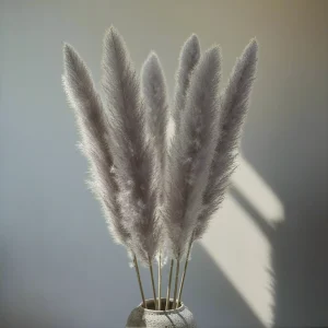 Stora Pampasgräs 110cm, Natur